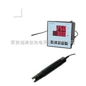 经济型在线PH计/经济型在线PH仪