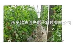 温室智能监控系统