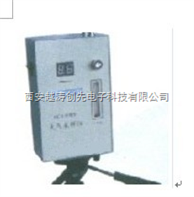 防爆型单气路大气采样仪/大气采样器